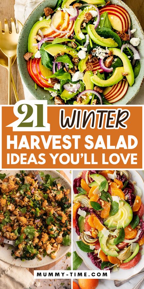 Enjoy the flavors of winter with these amazing harvest salad recipes! ❄️🥗 Full of vibrant ingredients like roasted veggies, citrus, and greens, these salads are perfect for the colder months. Nutritious and tasty, they make a satisfying meal. Save this pin for winter recipe inspiration! 📌✨ Half Baked Harvest Salad, Harvest Chicken Salad Recipe, Yule 2024, Broccoli Grape Salad, Thai Beef Salad Recipe, Harvest Salad Recipes, Grape Salad Recipe, Wheat Berry Salad, Winter Pasta