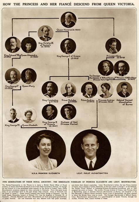 Both Queen Elizabeth II and Prince Philip, can call Queen Victoria, "Great-Great-Grandmum," which makes them third cousins. Elizabeth II: Elizabeth is the great-granddaughter of King Edward VII, Queen Victoria's son. Philip: Philip's great-grandmother was Princess Alice, Queen Victoria's daughter. Victoria Family Tree, Queen Victoria Family Tree, Vévodkyně Kate, King George Ii, Christmas Ideas For Boyfriend, Queen Victoria Family, Royal Family Trees, Rainha Elizabeth Ii, King George Iii