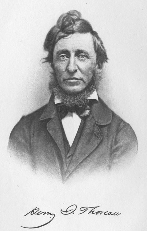 The Libraries of Famous Men: Henry David Thoreau Nature Writing, Writing Room, Writing Essays, Essay About Life, Art Of Manliness, Civil Disobedience, Room Book, Writers And Poets, Henry David Thoreau