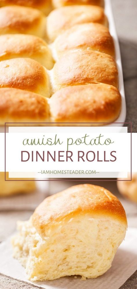 Potato Dinner Rolls Recipe, Potato Dinner Rolls, Best Amish Recipes, Potato Rolls Recipe, Club Classics, Amish Bread, Holiday Bread, Potato Dinner, Dinner Rolls Recipe