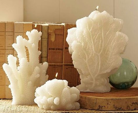 Coral candles Coral Candle, Coral Candles, Ocean Candle, Home Massage, Shaped Candles, Candle Obsession, Creative Candles, Decor Candles, Candle Carving