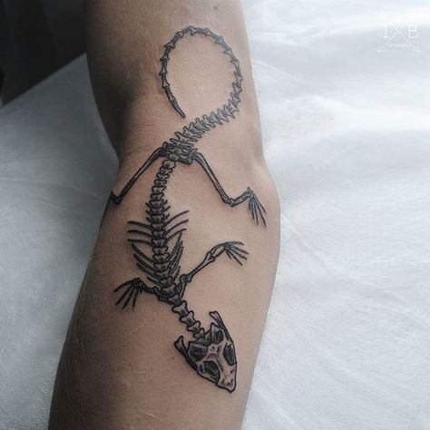 Lizard Skeleton, Bearded Dragon Tattoo, Tattoos And Their Meanings, Lizard Tattoo, Rat Tattoo, Animal Meanings, Skeleton Tattoo, Frog Tattoos, Skeleton Tattoos