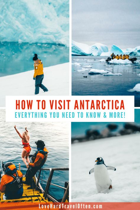 How to visit Antarctica - ULTIMATE guide on how to travel to Antarctica! Trip To Antarctica, Cruise To Antarctica, Antartica Aesthetic, Antartica Cruise, Antartica Travel, Antarctica Trip, Travel Antarctica, Antarctica Activities, Antarctica Cruise