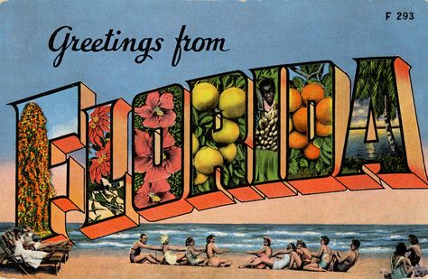 Greetings from Florida - Large Letter Postcard Letter Shading, Florida Postcard, Funny Vintage Ads, Vintage Advertising Signs, Pin Up Girl Vintage, Vintage Advertising Posters, Vintage Florida, Old Ads, Vintage Advertisement