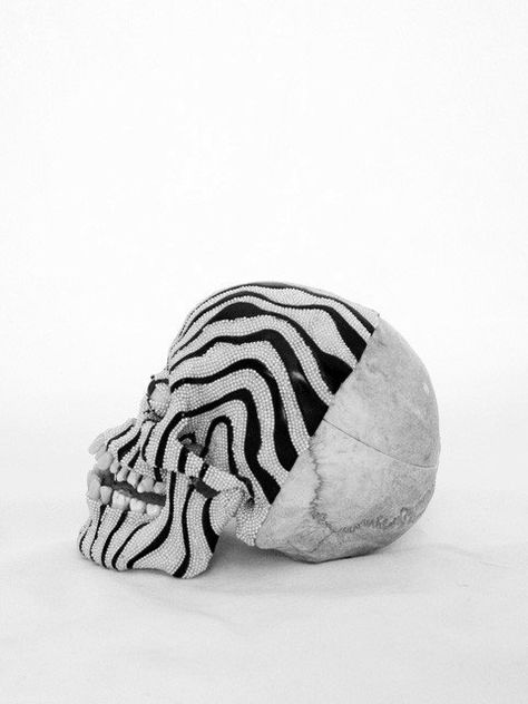 @archillect : https://t.co/zSKAw0l1eS Character Design Animation, 3d Characters, Skull And Bones, Memento Mori, Skull Art, Graphic Design Inspiration, Zebra Print, Sugar Skull, Leopard Print