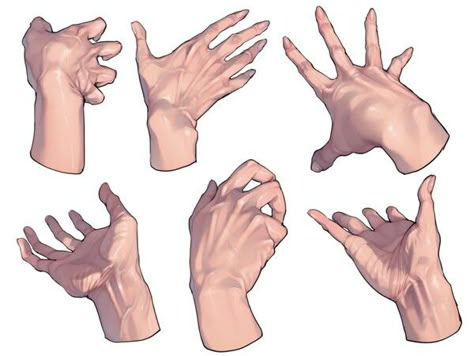 Hand Gestures, Hand Drawing Reference, Anatomy Poses, Hand Reference, Body Anatomy, Digital Painting Tutorials, Figure Drawing Reference, Anatomy Reference, Anatomy Art