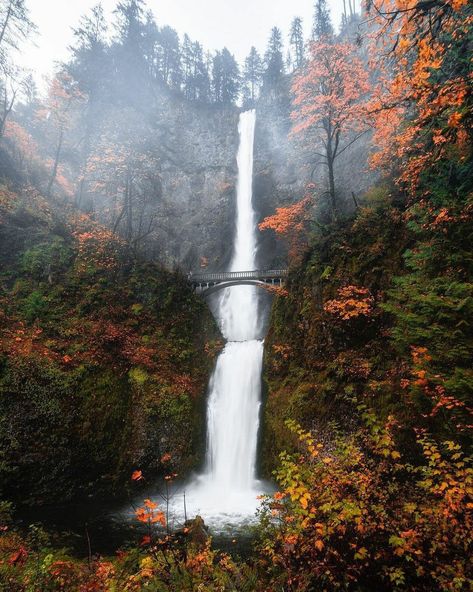 Klamath Falls Oregon, Multnomah Falls Oregon, Oregon Nature, Waterfall Scenery, Wild Book, Klamath Falls, Bob Ross Paintings, Waterfall Paintings, Multnomah Falls