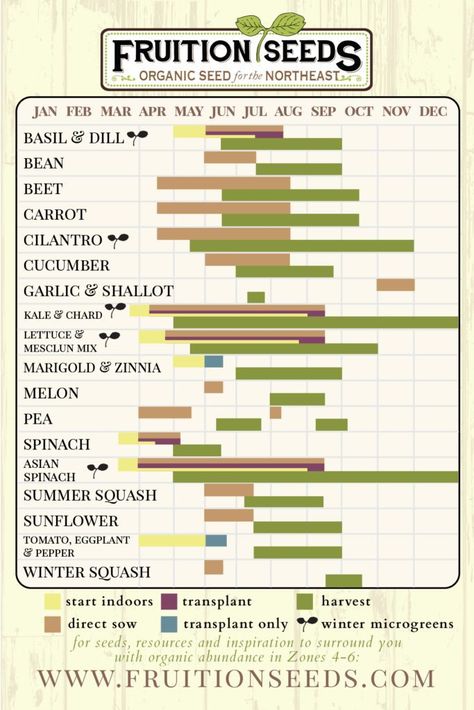 Seed Starting Calendar, Cucumber Beetles, Planting Calendar, Plant Breeding, Timing Is Everything, Soil Testing, Garden Plans, Plant Spacing, Beneficial Insects