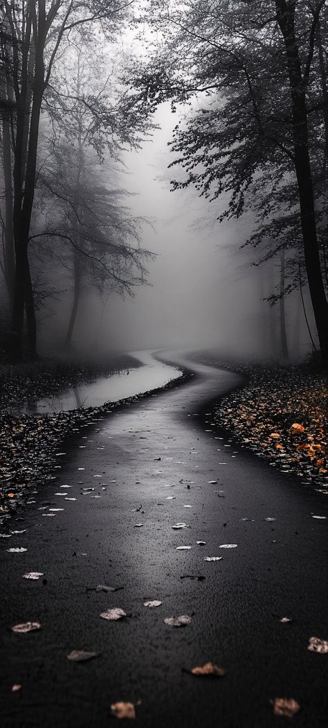 Foggy Road, Pink Stethoscope, Iphone Wallpaper Hd Original, Dramatic Background, Android Wallpaper Dark, Backgrounds Hd, Iphone Wallpaper Landscape, Pretty Wallpapers Tumblr, Surreal Artwork