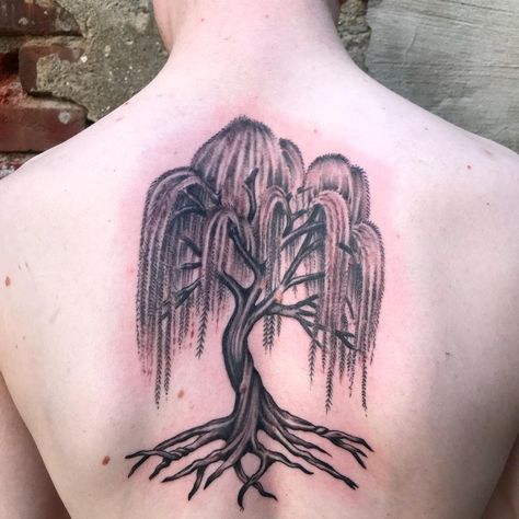 Black Weeping Willow Tattoo -porcelaintattoo Weeping Willow Tattoo, Willow Tree Tattoo, Tree Tattoo Meaning, Tree Tattoo Forearm, Tree Tattoo Back, Roots Tattoo, Willow Tree Tattoos, Purple Tattoos, Artsy Tattoos