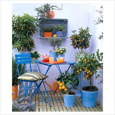 Balkon Decor, Small Balcony Garden, Balcony Plants, Small Balcony Ideas, Balcony Design, Balcony Ideas, Courtyard Garden, Small Patio, Terrace Garden