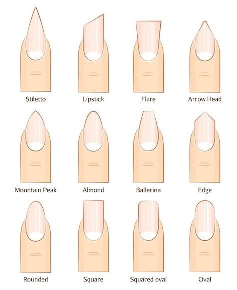 Bailarina Nails, What Are Acrylic Nails, Round Shaped Nails, Types Of Nails Shapes, Nail Extensions Acrylic, Different Types Of Nails, Wide Nails, Lipstick Nails, Nails Yellow