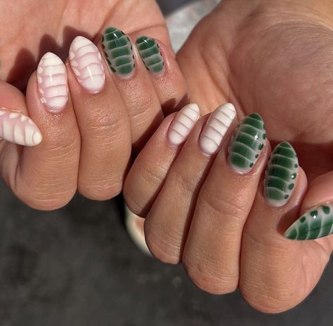 Green Snake Print Nails, Blooming Gel Croc Nails, Green Croc Print Nails, Green Blooming Gel Nails, Fall Blooming Gel Nails, Green Croc Nails, Short Croc Nails, Blooming Gel Nail Art Ideas, White Croc Nails