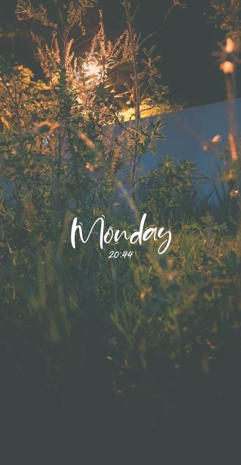 Monday Snapchat Stories, Rc 200, Monday Pictures, Rudra Shiva, Nature City, Ktm Rc, Doremon Cartoon, Inspirational Quotes Wallpapers, Foodie Instagram