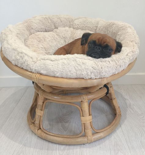 Mini #Papasan chair for pets...its a #Petasan This is our popular mini version of the iconic papasan chair designed for when your pet needs somewhere to curl up at the end of a busy day. It is exactly the same as our papasan chairs just smaller, its strong, durable and super soft and comfortable for your pet to relax in. Dog Chair, Hippie Homes, Elegant Chair, Dog Rooms, Papasan Chair, Dog Decor, Pet Life, Cat Room, Animal House