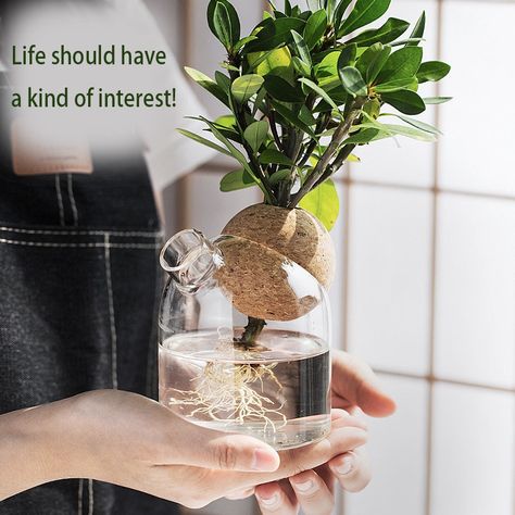 Smarter Shopping, Better Living! Aliexpress.com House Interior Decoration, Rustic Mid Century Modern, Rustic Mid Century, Interior Decoration Ideas, Vase Transparent, Flower Bottle, Growing Hydrangeas, Living Room Arrangements, Hydroponic Plants