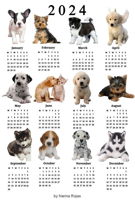 Dog Puppy Aesthetic, Puppy Aesthetic, Calender Printables, Aesthetic Dogs, Aesthetic Calendar, Dog Calendar, Cat Calendar, Printable Cute, Cute Calendar