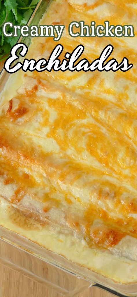 Chicken Enchiladas With Heavy Cream, Creamy Cheesy Chicken Enchiladas, Enchiladas Creamy Chicken, Chicken Enchiladas Cream Of Chicken, Cream Cheese Chicken Enchiladas 12 Tomatoes, Use Rotisserie Chicken, Cream Cheese Chicken Enchiladas, Chicken Enchiladas Recipe, Cheesy Chicken Enchiladas