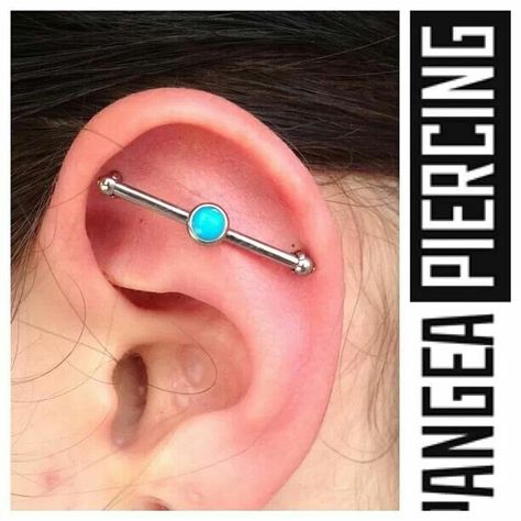 Faux Industrial Piercing. Maybe an alternative! ‪#‎industrialstrength‬ Industrial Alternative Piercing, Industrial Piercing Alternative, Faux Industrial Piercing, Floating Industrial Piercing, Ear Peircings, Industrial Piercing Jewelry, Ear Art, Face Piercings, Tragus Conch