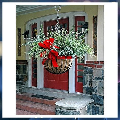 Christmas Garden - Discover Your Inspiration - Act fast or you might missed it. Visit for more! Christmas Hanging Baskets, Christmas Planters, Christmas Porch Decor, Ideas Hogar, Christmas Decorations Diy Outdoor, Christmas Yard, Christmas Garden, Christmas Porch, Hanging Planter