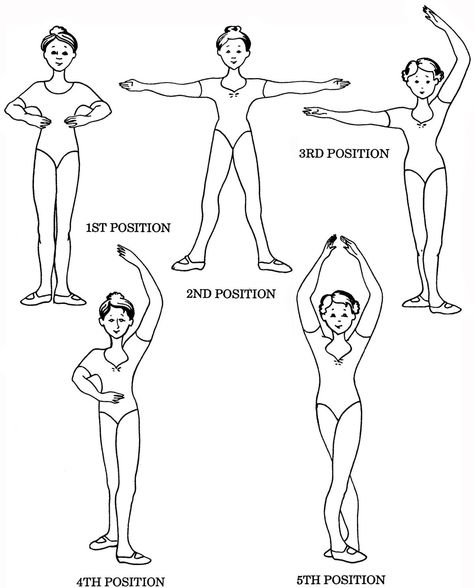 Ballet Terms, Ballet Basics, Beginner Ballet, Dance Coloring Pages, Ballerina Workout, Ballet Stretches, Ballet Positions, Dance Stretches, Ballet Lessons