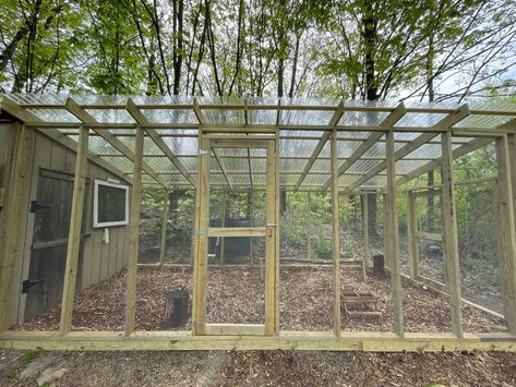 New Chicken Run! Chicken Run Roof Ideas, Chicken Run Roof, Owning Chickens, Chicken Run Plans, Coop Run, Polycarbonate Roof, Homestead House, Chicken Coop Run, Chicken Run