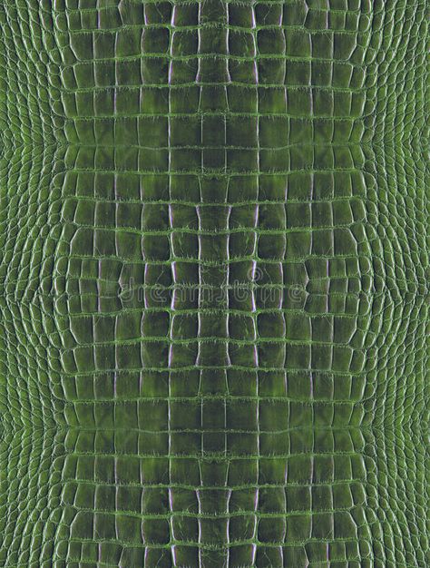 Green crocodile skin. Background of wild green crocodile skin , #AFFILIATE, #skin, #crocodile, #Green, #green, #wild #ad Crocodile Art, Skin Background, Wildlife Design, Green Crocodile, Croc Print, Crocodile Skin, African Wildlife, Green Tones, Tea Shop