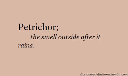 favorite scent Rain Smell, Amy Pond, Unusual Words, Rare Words, Aesthetic Pinterest, Unique Words, John Green, E Card, Word Of The Day