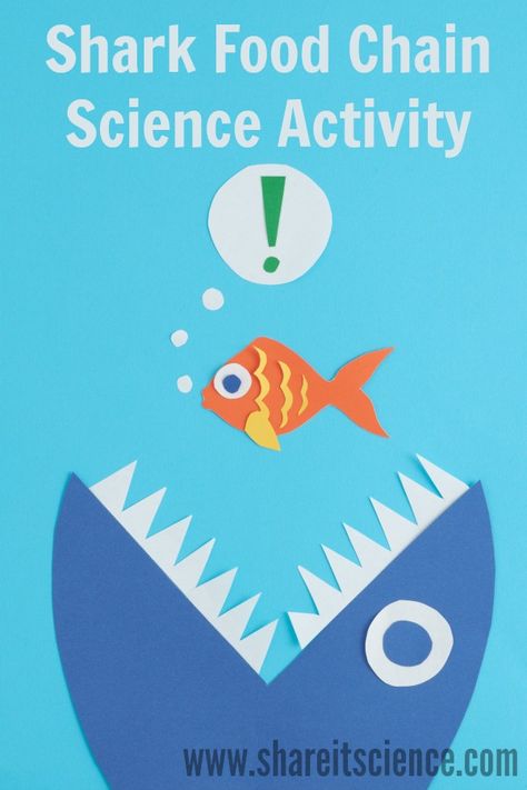 Get your kids or students moving with this #Shark Food Chain Science Activity. Perfect for school or home, #NGSS aligned and linked to a great #childrensbook. #Science #education that gets kids moving! Energy Transfer Activities, Shark Food, Food Chain Activities, Food Web Activities, Ocean Food, Teaching Board, Food Webs, Ocean Ecosystem, Burr Oak