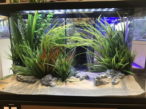 29 gallon tank with seiryu stone and faux plants 29 Gallon Aquascape, 29 Gallon Fish Tank Ideas, Aquariums Ideas, 29 Gallon Aquarium, 1 Fish 2 Fish, Aquarium Tips, Aqua Scaping, Aquascape Ideas, Aquarium Photos