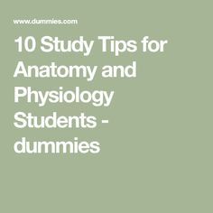 How To Study Anatomy, 10 Study Tips, Memorization Techniques, Medical Terminology Study, Veterinary School, Nursing Student Tips, Effective Study Tips, Human Anatomy And Physiology, Medical Coding