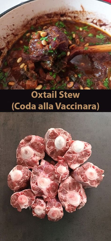 Oxtail Stew (Coda alla Vaccinara). Italian, oxtail, soup, recipes, stew, best, oxtail recipes, beef, easy, coda alla vaccinara, traditional, dinner, recipe. Ox Tail Recipe, Oxtail Soup, Oxtail Stew, One Pot Cooking, Oxtail Recipes, Recipes Beef, Poached Pears, Mediterranean Food, Best Meat