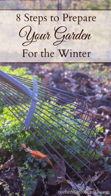 These eight steps can help you to prepare your garden for the winter and get ready for another gardening season in the spring. Winterize Garden, Fall Garden Prep, Fall Lawn Maintenance, Living Naturally, Fall Lawn, Fall Prep, Cold Frames, Garden Prepping, Fall Clean Up