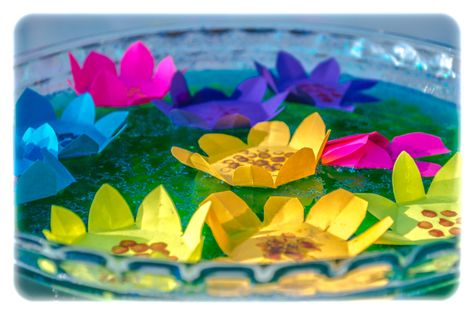 DIY Magic Paper Water Lily Flower Trick• Kids Science Experiment 🔬⚗️⚖️ 101 🎥Series 🎇 Paper Water Lily, Kids Science Experiment, Capillary Action, Science Tricks, Easy Origami Flower, Water Lily Flower, Science Kids, Flower Crafts Kids, Water Paper