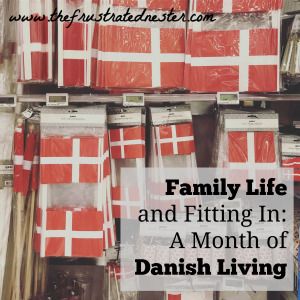 Danish Traditions, Danish History, Danish Living, Travel Netherlands, Danish Christmas, Danish Food, Netherlands Travel, Expat Life, Nightlife Travel