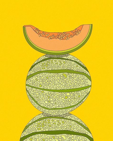 Watermelon Graphic Design, Cantaloupe Painting, Cantaloupe Drawing, Cantaloupe Wallpaper, Melon Drawing, Melon Illustration, Melon Wallpaper, Vegetables Illustration, Watermelon Drawing