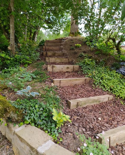 Tiger Landscape, Hillside Steps, Steep Hill Landscaping, Steep Gardens, Landscape Stairs, Landscape Steps, Landscaping On A Hill, Bush Garden, Pathway Landscaping