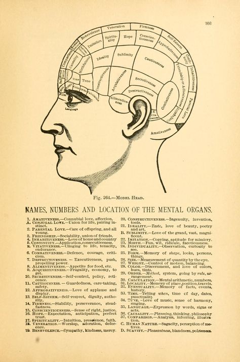 Heads and faces and how to study them; a manual of phrenology and physiognomy for the people : Sizer, Nelson, 1812-1897 : Free Download, Borrow, and Streaming : Internet Archive Cake Challenge, Phrenology Head, Gas Mask Art, Face Anatomy, Brain Facts, Face Reading, Science Of Reading, How To Study, Russian Dolls