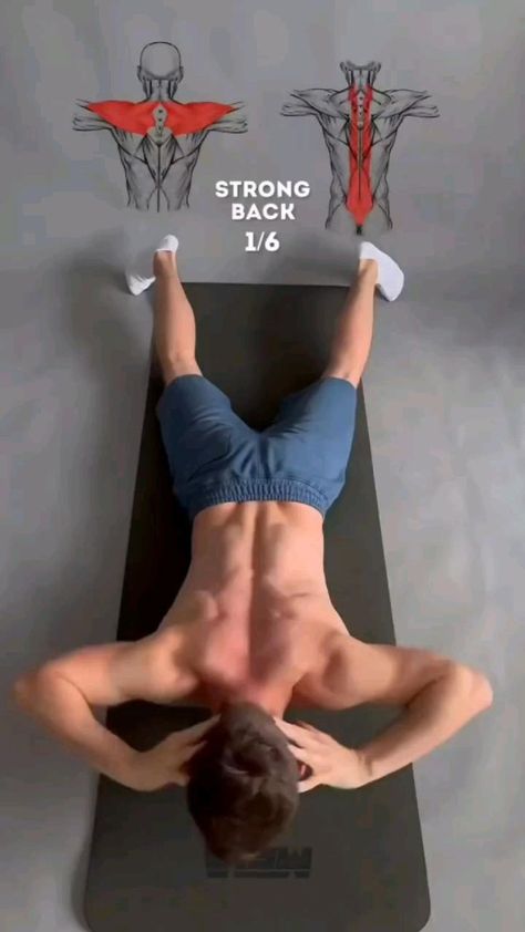 Bodyweight Back Workout, Targeted Exercises, Latihan Dada, Bodybuilding Workouts Routines, Bolesti Chrbta, Gym Workout Planner, Bodybuilding Workout Plan, Gym Workout Chart, Body Gym