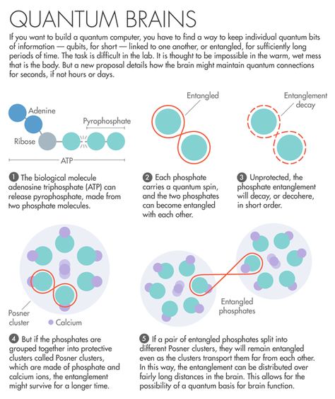 Quantum Realm, Element Chemistry, Quantum Consciousness, California Santa Barbara, Electron Transport Chain, Physics And Mathematics, Spirit Science, Brain Science, Math Formulas