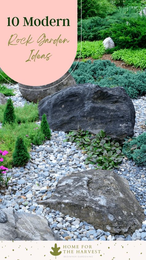 10 Modern Rock Garden Ideas via @home4theharvest Modern Rock Garden, Boulder Garden, Large Rock Landscaping, Rockery Garden, Rock Garden Ideas, Small Palm Trees, Landscaping With Large Rocks Natural, Modern Rock, Drought Resistant Plants