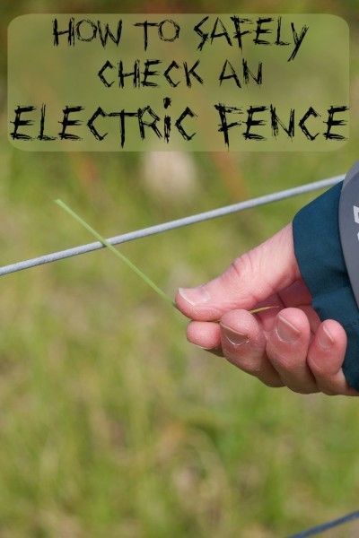 How to Safely check an electric fence Electric Fence For Cattle, Goat Fence, Livestock Fence, Small Holding, Horse Fencing, Fencing & Gates, Farm Stuff, Farm Fence, Hobby Farm