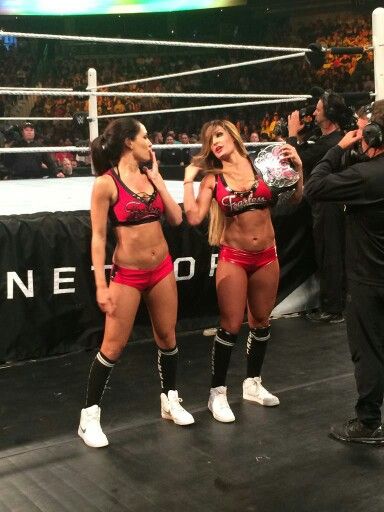 Nikki & Brie Bella Nikki Bella Outfits, Nikki Bella Costume, Nikki Bella Wwe, Brie Garcia, Wwe Bianca Belair, Nikki Garcia, Brie Bella Wwe, Nikki Bella And Brie Bella, Nikki Bella Photos