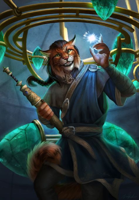 Tabaxi Wizard, Wizard Robes, Elder Scrolls Games, Skyrim Art, Elder Scrolls Art, Elder Scrolls Skyrim, Heroic Fantasy, The Elder Scrolls, Fantasy Races