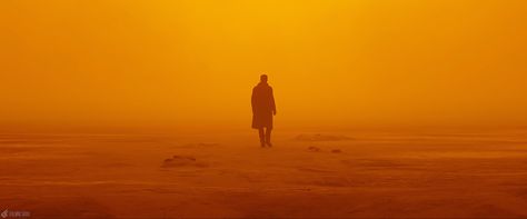 Orange Arabian Oryx, Color In Film, Apocalypse Aesthetic, Electric Sheep, Denis Villeneuve, Blade Runner 2049, Movie Shots, Film Inspiration, Obi Wan Kenobi