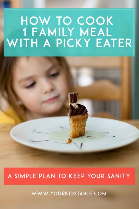 Having one family everyone can eat with a picky eater may seem impossible, but with simple plan you CAN make one meal for everyone to eat! Sensory Diet, Picky Eating, Do Not Eat, Picky Eaters, Kid Friendly Meals, Food Allergies, Food Photo, The Words, Kids Meals