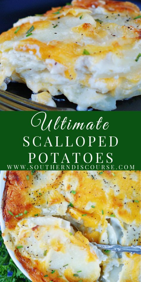 Ultimate Scalloped Potatoes are a classic comfort side dish! A true favorite for Sunday dinners, holidays or any night of the week, these thinly sliced, layered potatoes bake up tender and full of flavor in a rich homemade cream sauce with a sprinkle of onion and oodles melted cheese! Layered Potato Bake, Scalloped Potatoes With Cream, Layered Potatoes, Southern Discourse, Easy Scalloped Potatoes Recipe, Scalloped Potato, Layered Potato, Savory Sides, Au Gratin Recipes