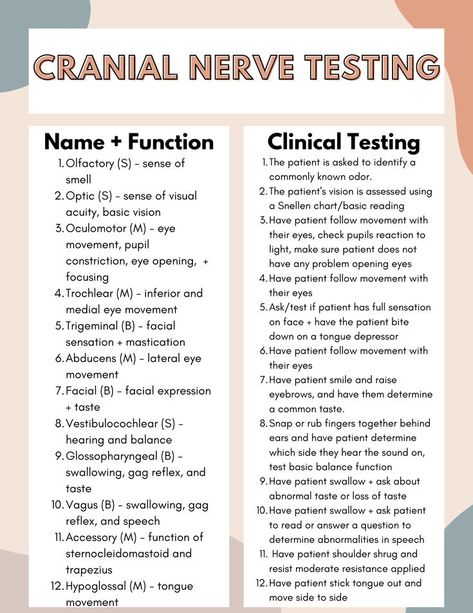 Sensory Perception Nursing, Physical Therapy Assistant Student Study, Occupational Therapy Assistant Student, Physical Therapist Assistant Aesthetic, Neuro Occupational Therapy, Physical Therapy Student Notes, Physiotherapy Student Notes, Physical Therapy Student Study, Concussion Assessment