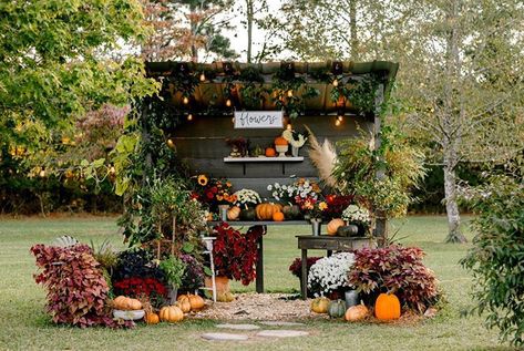 Flower Farm Stand Ideas, Farmstand Display Ideas, Fall Farmstand, Farmers Market Flower Display, Roadside Farmstand, Eclectic Bouquet, Farmstand Ideas, Flower Fans, Roadtrip Ideas