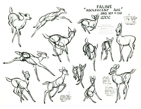 Drawing Disney, Deer Drawing, Drawing Eyes, Animal Study, Reference Drawing, Disney Concept Art, Disney Sketches, Deer Art, Animation Reference